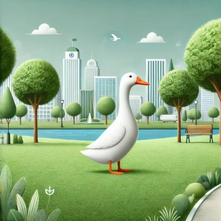 Pato Branco PR