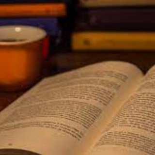 📚 Livros Free