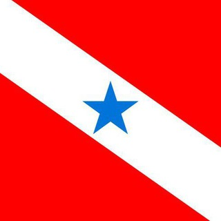 PARÁ - Notícias 🗞️