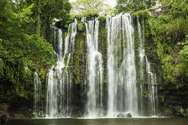 NATUREZA